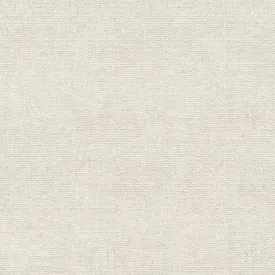 Devonstone Linen Cotton Solid - Champagne  - DV4104